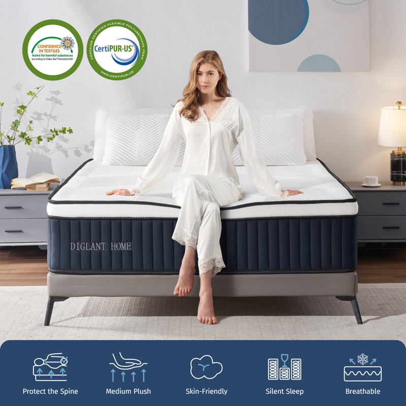 DIGLANT HOME 14" Medium Plush Mattress Wayfair